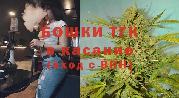 Альфа ПВП Бородино