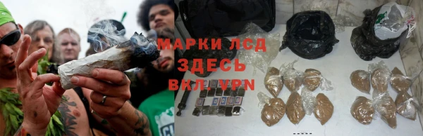 молекула духа Бронницы