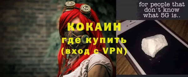 молекула духа Бронницы