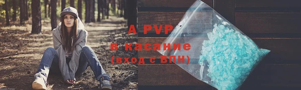 Альфа ПВП Бородино