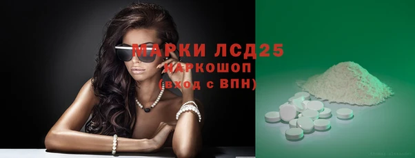 Альфа ПВП Бородино