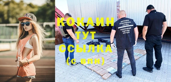 Альфа ПВП Бородино