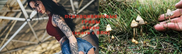 бутират Бугульма