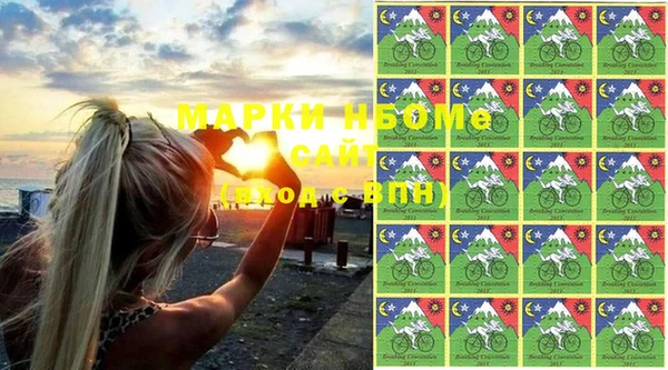 Альфа ПВП Бородино