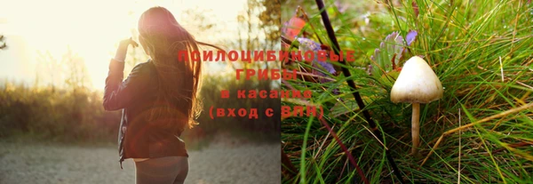 Альфа ПВП Бородино