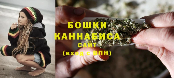 Альфа ПВП Бородино