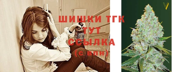 Альфа ПВП Бородино